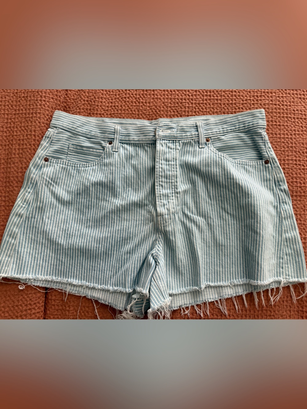 Old navy Striped Light Blue Women’s Denim Shorts